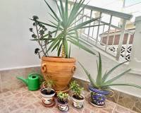 Venta - Apartamento - Torrevieja - La Rosaleda