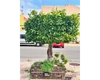 Venta - Duplex - Torrevieja - La Siesta