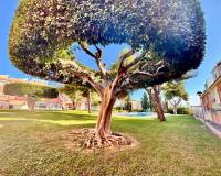 Wiederverkauf - Duplex - Torrevieja - Torrelamata - La Mata