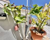 Wiederverkauf - Wohnung - Torrevieja - Playa del Cura