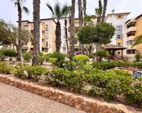 Wiederverkauf - Wohnung - Torrevieja - 