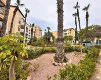 Wiederverkauf - Wohnung - Torrevieja - 