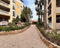 Wiederverkauf - Wohnung - Torrevieja - 