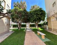 Wiederverkauf - Wohnung - Torrevieja - 