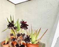 Wiederverkauf - Wohnung - Torrevieja - 